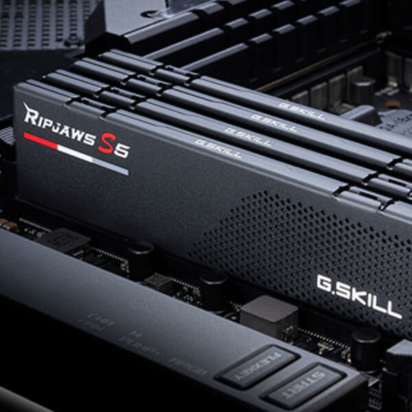 G.Skill Ripjaws S5 32GB (16GBx2) DDR5 5600MHz Desktop RAM (Matte Black)